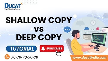 Shallow Copy vs Deep Copy: What You NEED To Know