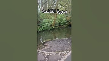سورة الفاتحة القارىء ماهر المعيقلي #الفاتحة #سورة_الفاتحة #ماهرالمعيقلي #تلاوة_خاشعة #اكسبلور