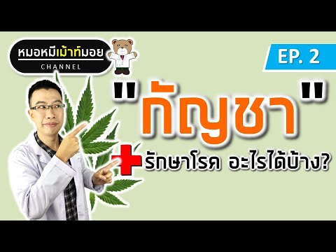 กัญชา รักษาโรคอะไรได้บ้าง? | เม้าท์กับหมอหมี EP.2