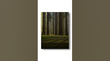 NEW Generative Al Photo Editing Tools Tutorial | Erase & Expand #ai #adobefirefly #generativeai