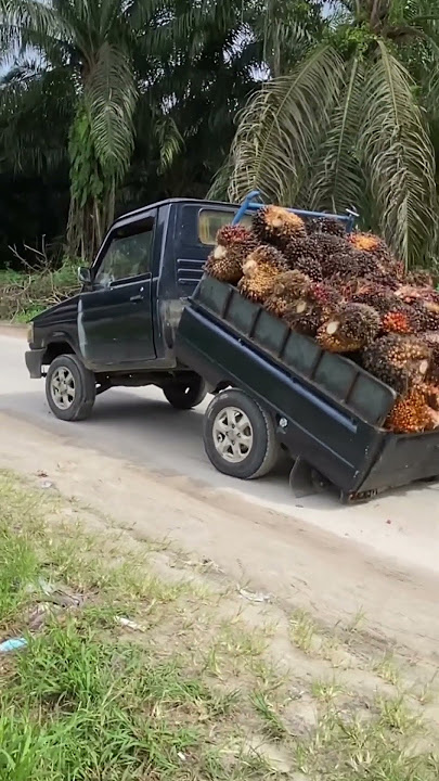 Mobil patah rangka!!, muatan sawit #shorts #trending #sawit #truk #truksawit #fyp #jalanrusak