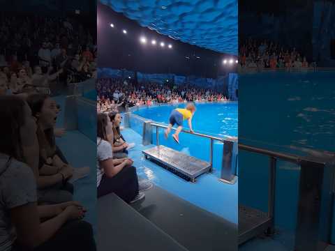 Aquarium Crowd Gasps As Beluga Rescues Child Shorts
