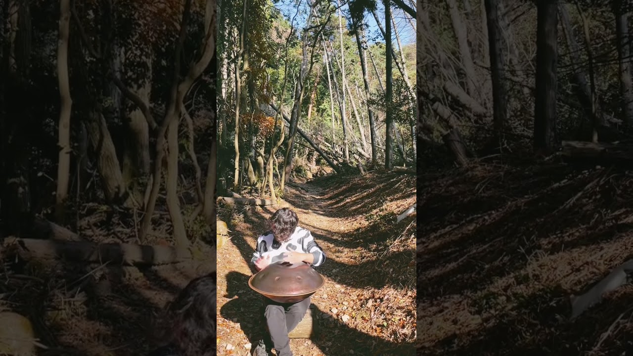 山と牛とハンドパン⛰🐄🛸