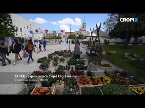 Video: Kako Se Održava Zadarski Gradski Sajam