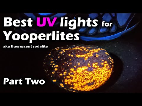 Best UV Lights