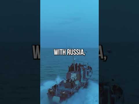 Videó: Kérdés Oroszország elnökéhez: Légierőnek lenni vagy nem?
