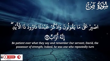 ما تيسر من سورة ص بصوت القارئ وديع اليمني