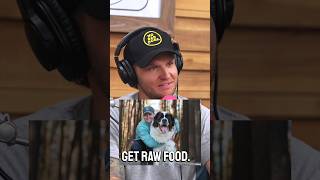 How to start Feeding a raw diet to your dog!