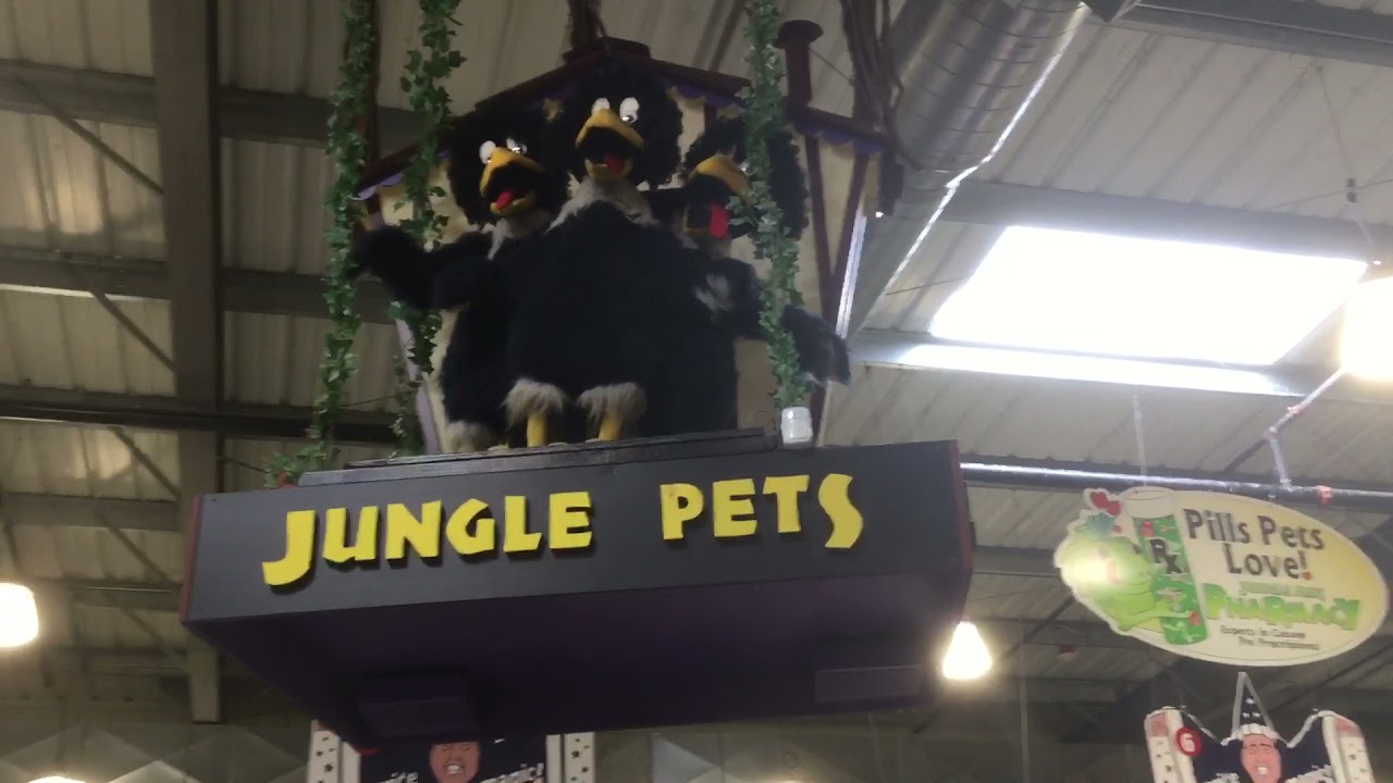 Jungle Jim’s Jungle Pets A.K.A Chuck E. Cheese’s Pizza time theatre Warblettes animatronics