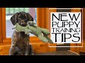 You Asked We Answered - Preparing For A New Puppy - Episode 28: Part 3