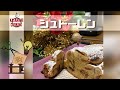 【料理】当事者が片手で作るシュトーレン　片麻痺/脳卒中