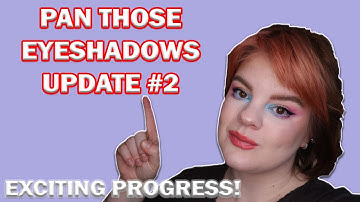 PAN THOSE EYESHADOWS UPDATE 2 | I am crushing it!