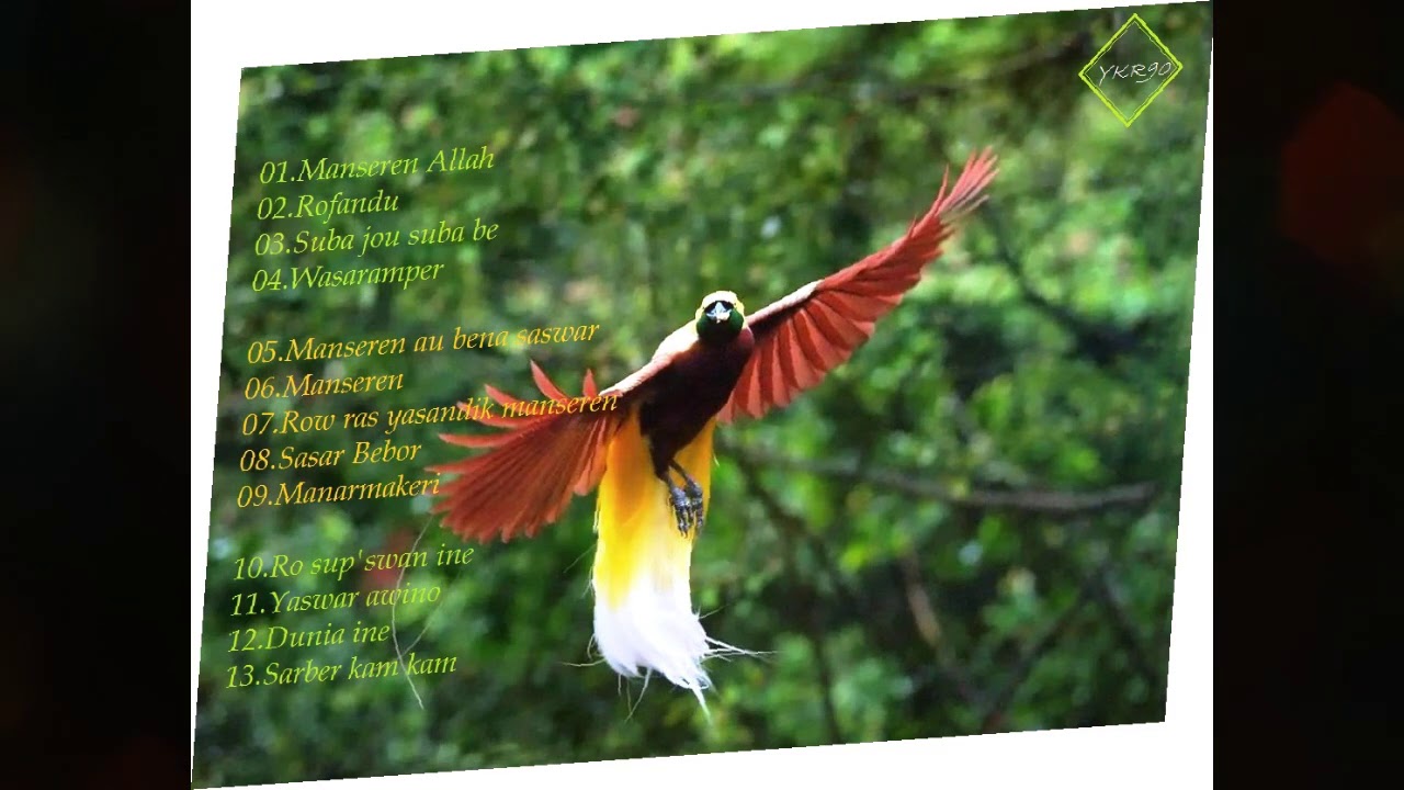 13 LAGU ROHANI PAPUA TERBAIK ||  BAHASA BIAK