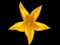 +++GAMING LIFE+++  BATTLEFIELD 2042!!!!! 2026 First Stream 2601