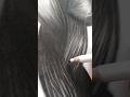  realistic braids drawing  how to draw braid silviema.al3570 shorts viralshort braid like