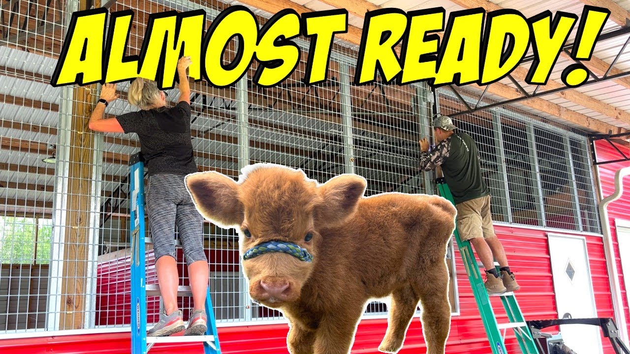 UNIQUE Way To Build a PREDATOR PROOF Barn!