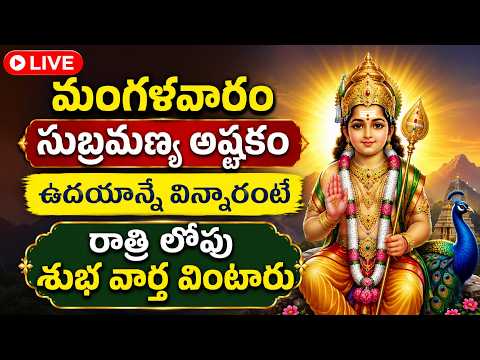 LIVE : మంగళవారం సుబ్రమణ్య అష్టకం ఉదయాన్నే విన్నారంటే రాత్రి లోపు శుభ వార్త వింటారు | Bhakti Sri