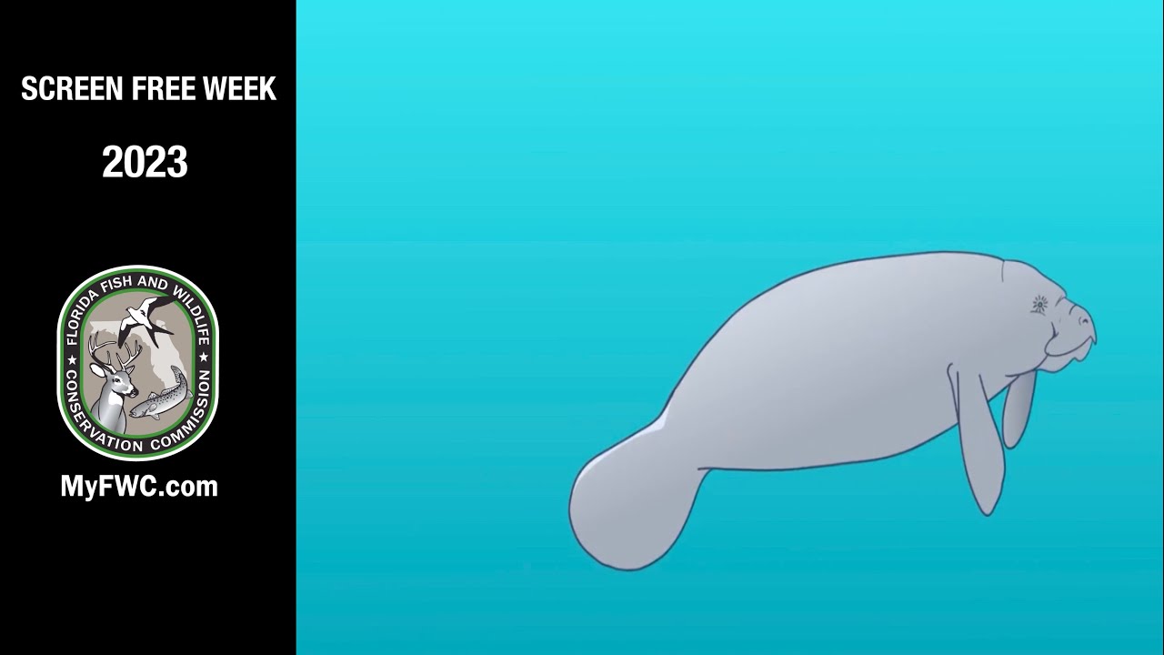 Screen Free Week 2023