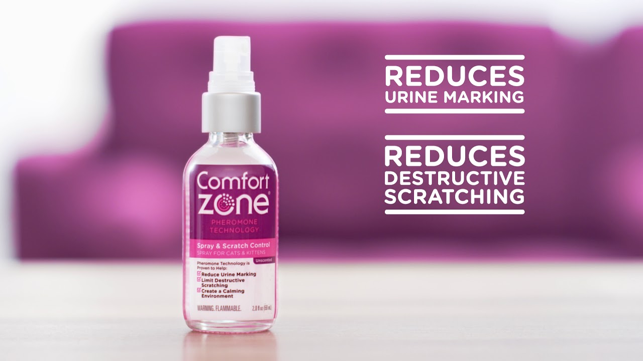 comfort zone spray and scratch control