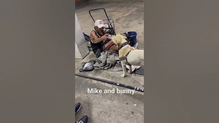 Mike & Buddy