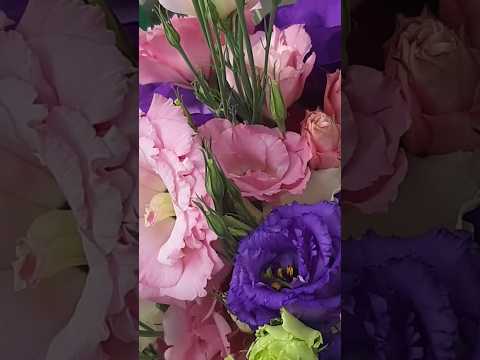 Яркий букет из