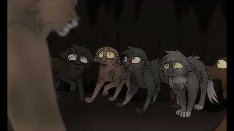 The Silver Cat has Come / Smells Like Teen Spirit PMV (Part 14)