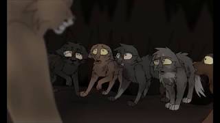 The Silver Cat has Come / Smells Like Teen Spirit PMV (Part 14)