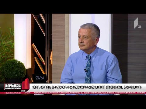 ევროკავშირის მხარდაჭერა საქართველოს საინვესტიციო პოტენციალის გაზრდისთვის