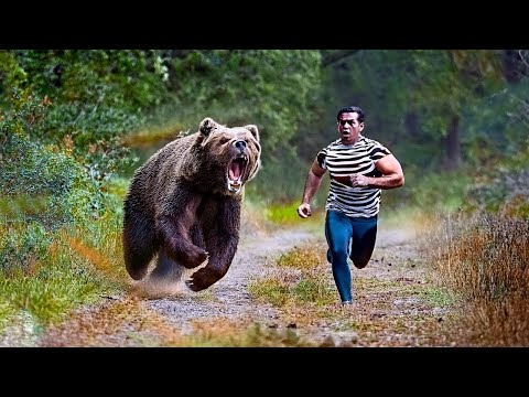 داخل لحظة الرعب مواجهة مباشرة مع الدب بة المفترسة