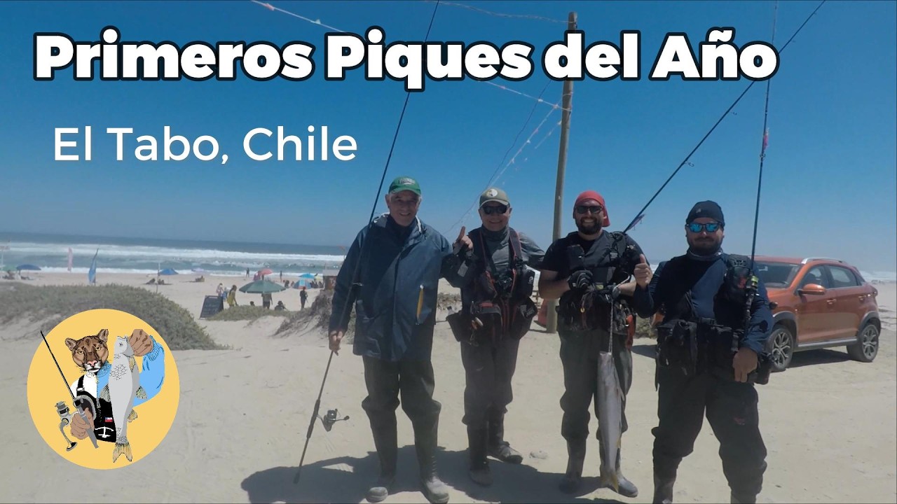 Primeras Corvinas del Año #corvina #fishing #pesca #spinning #lenguado #lineadepesca 