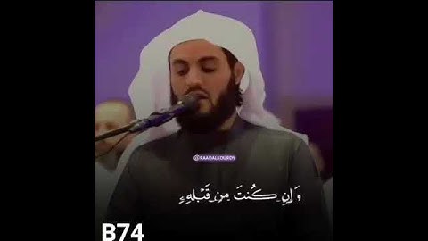 القارئ الشيخ رعد محمد الكردي ( ما تيسر من سورة يوسف )