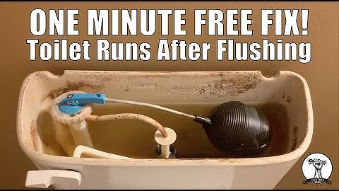 FREE and EASY: Toilet Won