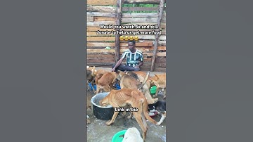 Donate via my PayPal link in bio to support me get more food at the shelter