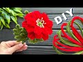 DIY Pipe Cleaner Crafts How to Make Flower from Chenille Stems Pipe Cleaner Flowers Easy Ideas