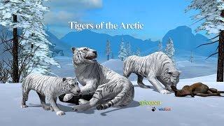 Tigers of the Arctic -The Movie-  By Wild Foot Games Role Playing - iTunes/Android screenshot 1