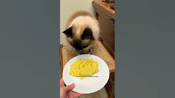 Эти овощи опасны для кошек!