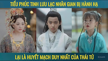 Tiểu phúc tinh lưu lạc nhân gian bị hành hạ lại là huyết mạch duy nhất của thái tử