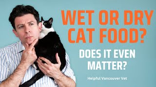 Should I feed wet or dry food to a cat?
