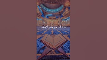#ماهر_المعيقلي #آية_الكرسي #سورة_البقرة #القرآن_الكريم #قرآن #تلاوات_خاشعة #تلاوات #Quran
