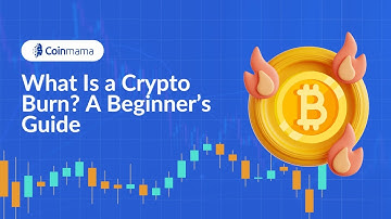 What Is a Crypto Burn? A Beginner’s Guide