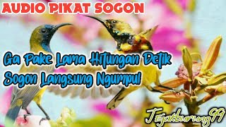 MP3 PIKAT SOGON Ampuh Hitungan Detik Sogok Ontong Langsung Ngumpul