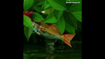 Fish Jumping | Fish Eating Fruits | Fish Water Animation | Blender 3D Animation #shorts