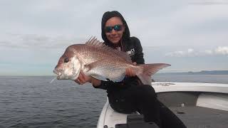 Botany Bay to Bellambi Solo Snapper Trip - SPIKES FISHING