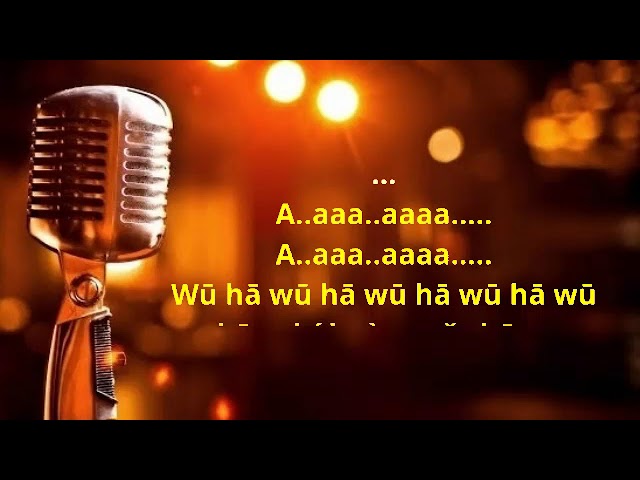 Shen qi de ma - xu wen you - karaoke no vokal ((cover to lyrics pinyin) class=