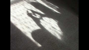 Looking at My Shadow -- Daniel Mackler sings