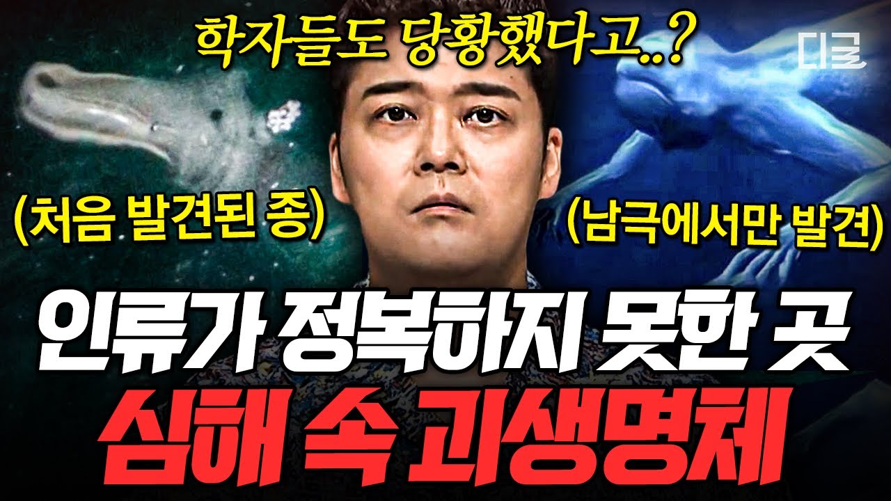 One Day Trip 프로모션! 오클랜드 근교 당일치기 여행을 계획하고 있다면 지금이 기회🎉 호비튼 영화 촬영지와 와이토모 동굴을  하루에 여행할 수 있어요! 오클랜드 시티에서 편안한 전용 버스로 이동! 최소 4명부터 항시 출발 가능!, image size:1280x720