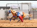 River- Stunt Horses and More- Equestrian Music Video