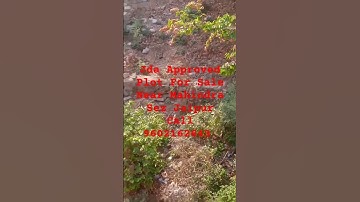 Plot For Sale Near Mahindra Sez Jaipur #shorts #viral #trending #viralvideo #short Call 9602162643