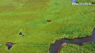 Hotspring Bay view 3 | Akutan Alaska