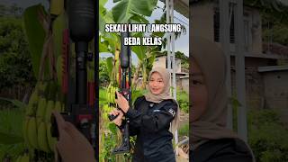 PCP BIG GAME KELAS TINGGI! RUANG LEDAK BESAR + TABUNG COMPOSITE 700CC